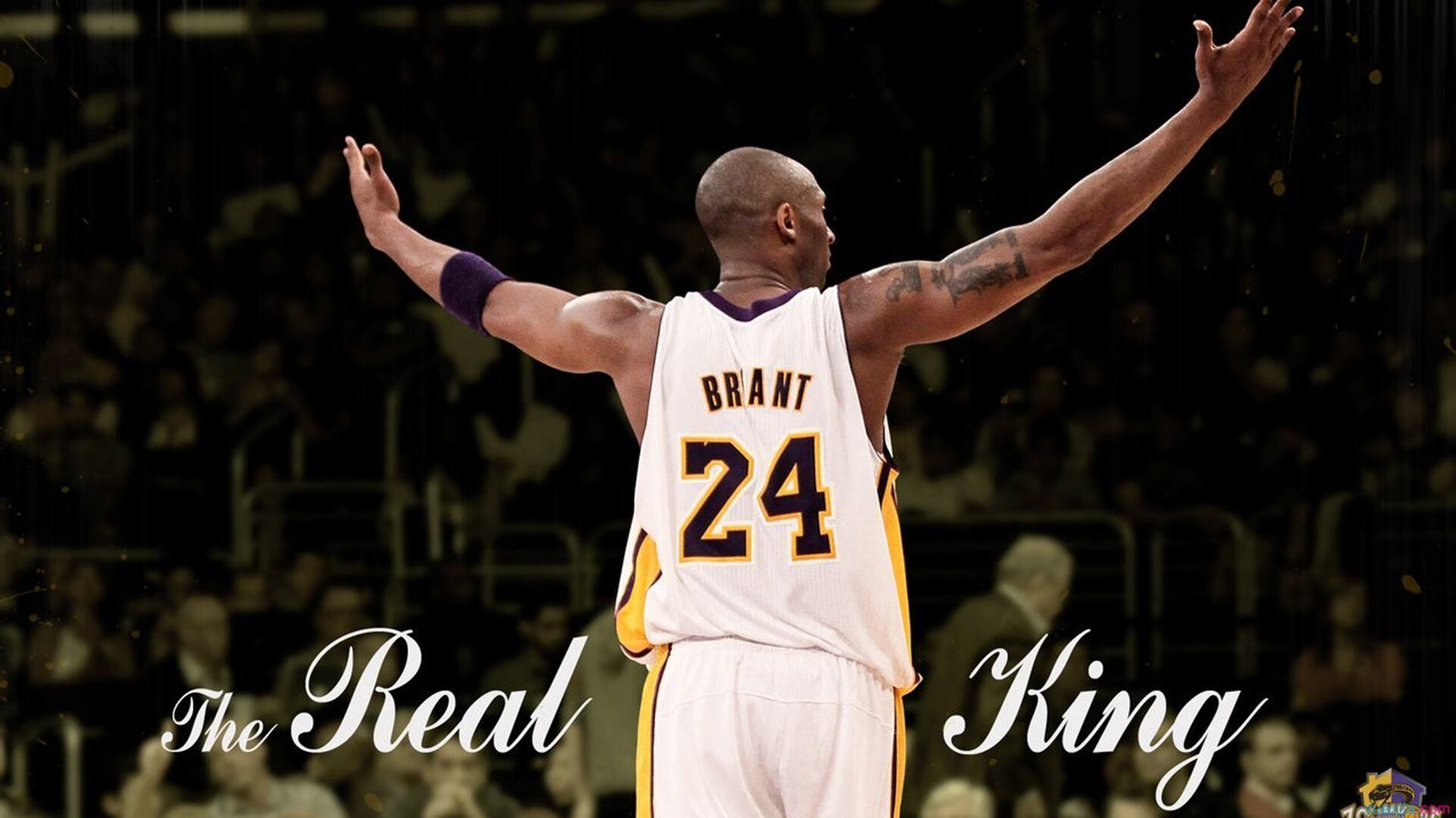 世界象棋世界冠军对抗赛加赛快棋 中国棋手稳中求进笑到最后捧起金杯